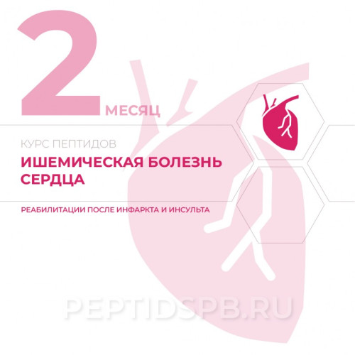 КУРС 2-Й МЕСЯЦ - Ишемическая болезнь сердца, реабилитация после инфаркта и инсульта