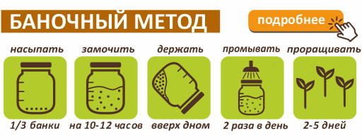 Полба для проращивания, 500 г