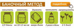 Полба для проращивания, 500 г