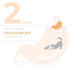 КУРС 2-Й МЕСЯЦ - Пептиды для животных при воспалительных заболеваниях кишечника (на базе капсул)