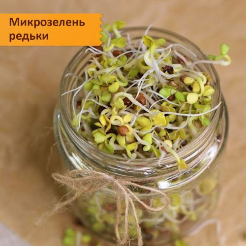 Набор для выращивания "Экспресс-микрозелень"