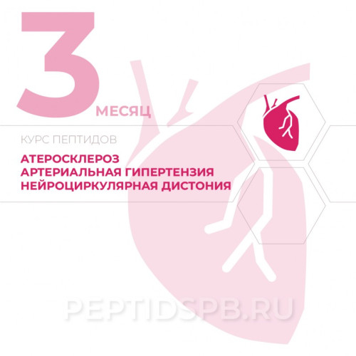 Курс пептидов при атеросклерозе, артериальной гипертензии, нейроциркулярной дистонии 3-й месяц