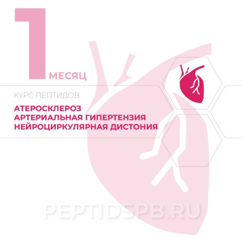 Курс пептидов при атеросклерозе, артериальной гипертензии, нейроциркулярной дистонии 1-й месяц