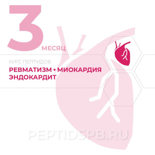 КУРС 3-Й МЕСЯЦ - Ревматизм, миокардит, эндокардит