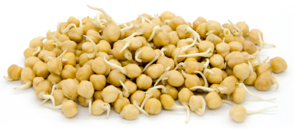 chickpea.jpg