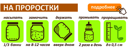 Горох зеленый для проращивания и микрозелени, 500 г