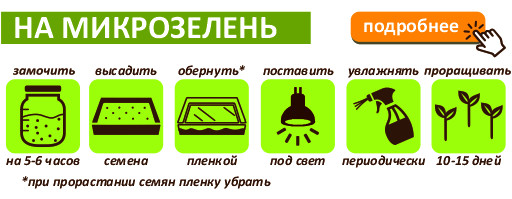 Горох зеленый для проращивания и микрозелени, 5 кг
