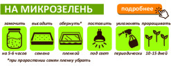 Горох зеленый для проращивания и микрозелени, 5 кг