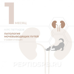 Пептиды для животных при заболеваниях почек (КУРС 1-Й МЕСЯЦ - на базе лингвальных капель)