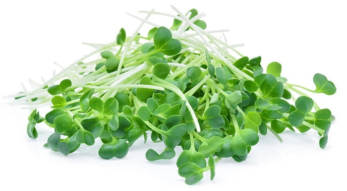 pak choi.jpg